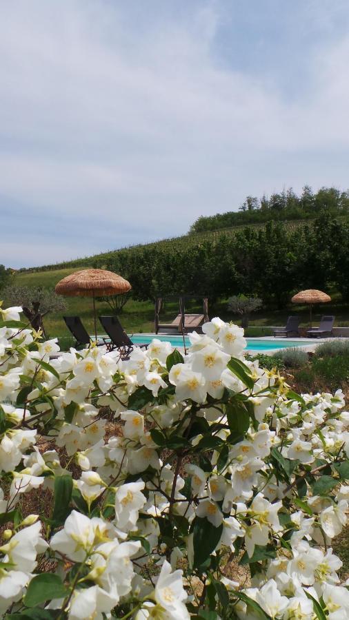 Sotto La Vigna Charm Stay Adults Only Vacation Suite Montegrosso d'Asti Exterior photo