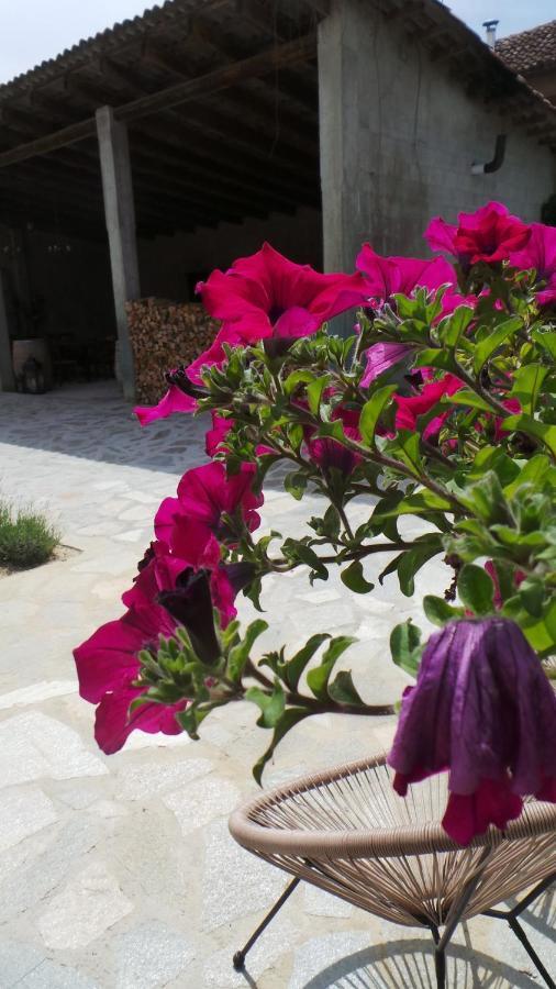 Sotto La Vigna Charm Stay Adults Only Vacation Suite Montegrosso d'Asti Exterior photo